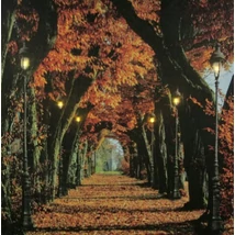 Falikép 6 LED világítással 