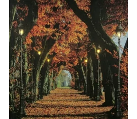 Led-es falikép